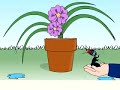 Ted the Ant - Real E Fun Books® Ted the Ant - Real E Fun Books®