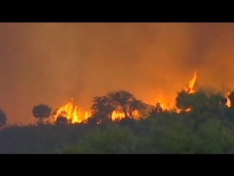 اندلاع حرائق  في غابات منطقة سياحية في البرتغال - فيديو