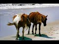 Viridian Storm -- Wild  Horse RPG