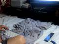 CLIP0006_09282008