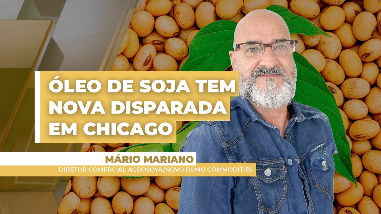 Óleo de soja sobe mais de 8% em Chicago e é principal suporte do grão nesta 2ª; atenção ao ...