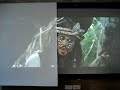 Planar Xscreen vs Matte White in ambient light!
