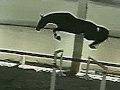 CRAZY Horse Jumping 2