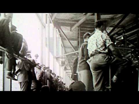 willie mays - 