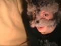 videos de Talk about some recent writings