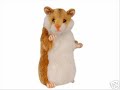 hamster-dance.html