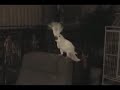 Video anschauen