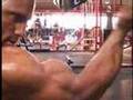 MostMuscular-Com-Fra