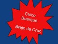 brejo da cruz 
chico buarque/1984

a novidade
que tem no brejo da cruz
� a crian�ada
se alimentar de luz

alucinados
meninos ficando azuis
e desencarnando
l� no brejo da cruz

eletrizados
cruzam os c�us do brasil
na rodovi�ria
assumem formas mil

uns vendem fumo
tem uns que viram jesus
muito sanfoneiro
cego tocando blues

uns t�m saudade
e dan�am maracatus
uns atiram pedra
outros passeiam nus

mas h� milh�es desses seres
que se disfar�am t�o bem
que ningu�m pergunta
de onde essa gente vem

s�o jardineiros
guardas noturnos, casais
s�o passageiros
bombeiros e bab�s

j� nem se lembram
que existe um brejo da cruz
que eram crian�as
e que comiam luz

s�o faxineiros
balan�am nas constru��es
s�o bilheteiras
baleiros e gar�ons

j� nem se lembram
que existe um brejo da cruz
que eram crian�as
e que comiam luz