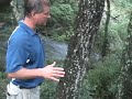 Lake Keowee Lot D1 Reserve