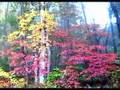 Fall in Asheville, North Carolina