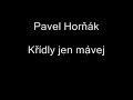 Křídly jen mávej - Pavel Horňák