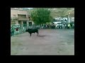 Fiestas hontoba 2008 - toro viernes Parte 1 Fiestas hontoba 2008 - toro viernes Parte 1