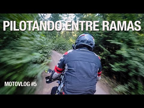 Pilotando entre ramas | Motovlog #5