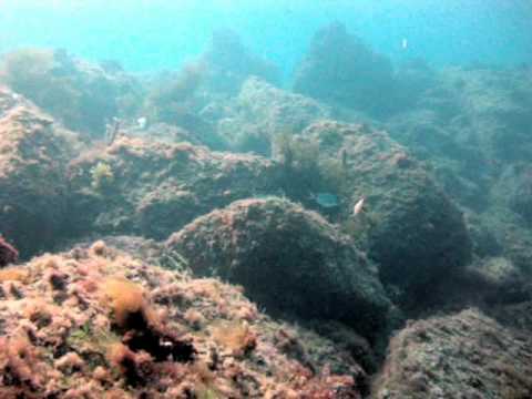 Mio�o 10-05-2010
