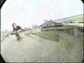 Jason Dill Photosynthesis