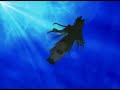Final Fantasy AMV