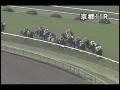 videos de [パトロールビデオ] 081108 5京都1 11R 京洛ステークス