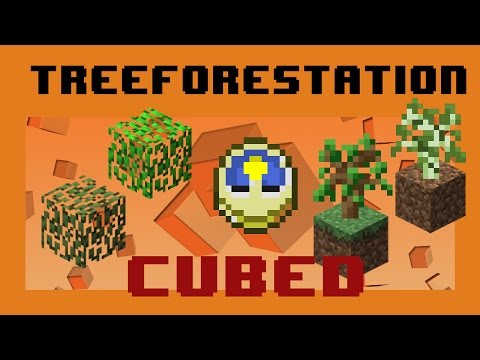 how to replant grass trees