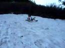 Sliding in the summer snow at Heather Lake