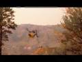 Freeride / Downhill
