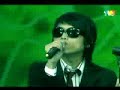 Bittersweet - Kucing Hitam