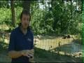 WSPA bear expert discusses new Animal Planet TVshow