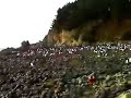 기름유출사고후 약 두달이 지나서 찾았던 바닷가... 2008년 1월12일