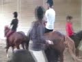 Jeux poneys � cru -EPERVIER-