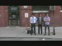 Jonas Brothers - Going Green part 1