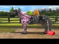 Pony Friends 2 , die ersten 10 Minuten , Wii , 2 2