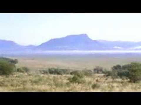 Evolution Permian-Triassic Extinction