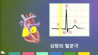Prehospital basic 구급대원 현장 12유도 심전도- 전북대 김소은 교수님