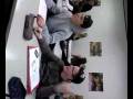 videos de Olli und Queins