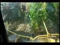 tractor video 1