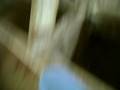 videos de Thais e o Bufalo
