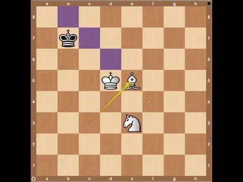 chess knight chess knight
