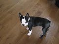 vid I'm talking with ella, and she's so cute 2009 jan