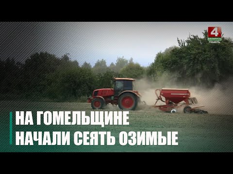 Самый благоприятный период. Аграрии Гомельщины приступили к севу озимых видео