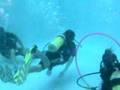 Scuba Diving