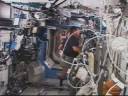Leonardo Returned to Endeavour\