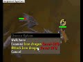 DragonFire Shield