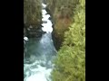 IMG_0022.MOV