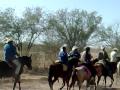 Caballos. Cabalgata 5 San Miguel 061209.mp4
