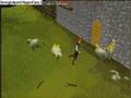 Runescape - Thedarking1 99 Fishing