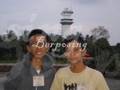 Hafis