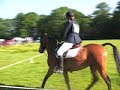 caro et légende lango 31 05