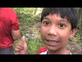 Shenandoah Video