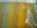 Wild diferent rivers (movie made insinde the tank) Wild diferent rivers (movie made insinde the tank)