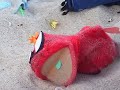 piter camuflado en la playa